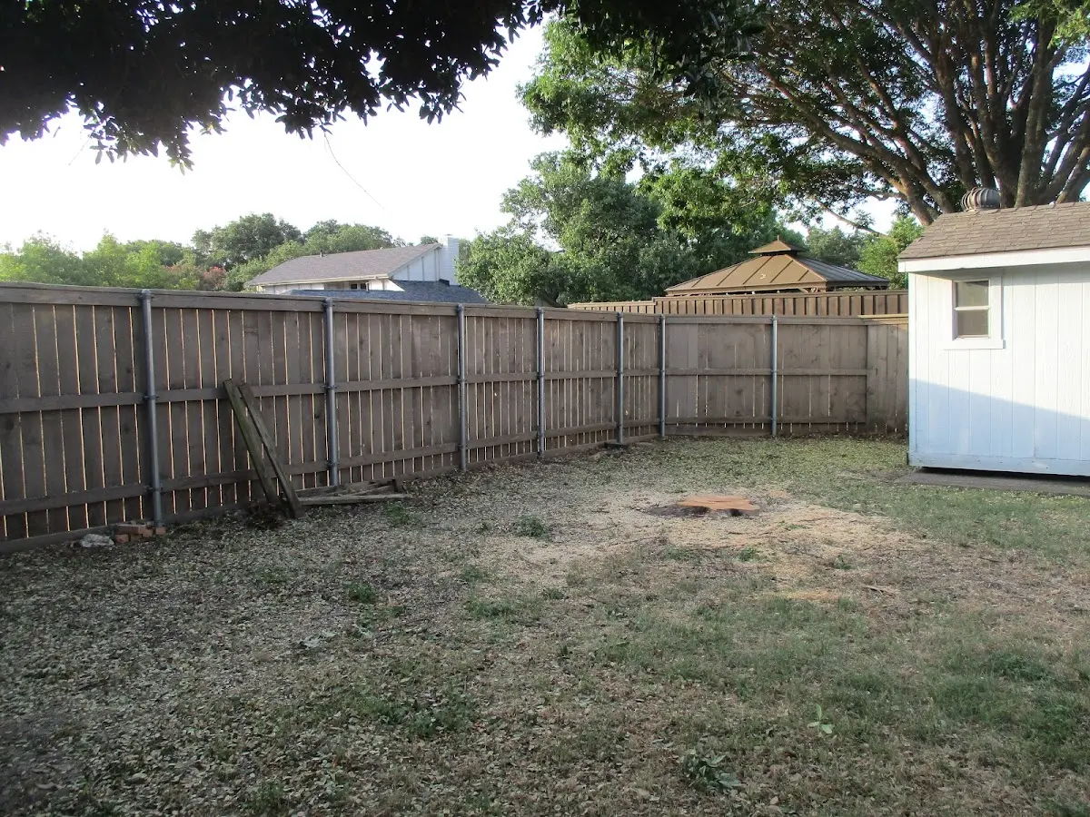 Cleared yard after professional tree removal in Whitehouse Station