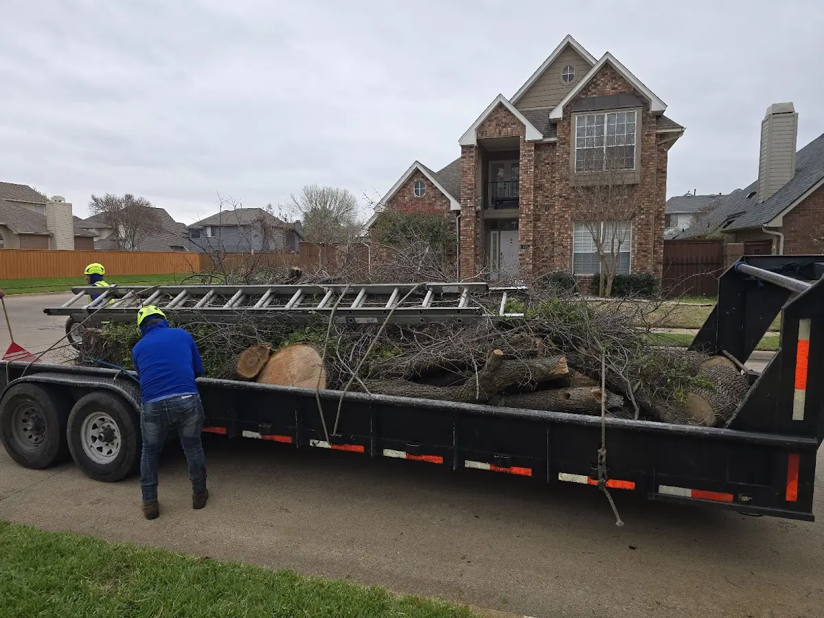 Expert Tree Fertilization with proper safety equipment in Whitehouse Station